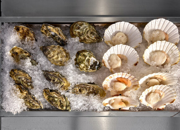 Mano febrero 25 66jpg