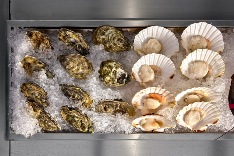 Mano febrero 25 66jpg